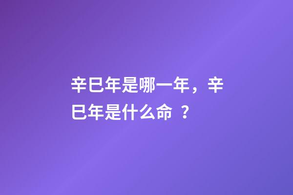 辛巳年是哪一年，辛巳年是什么命？